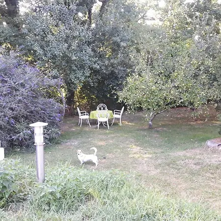 Le Coeur Du Moulin *