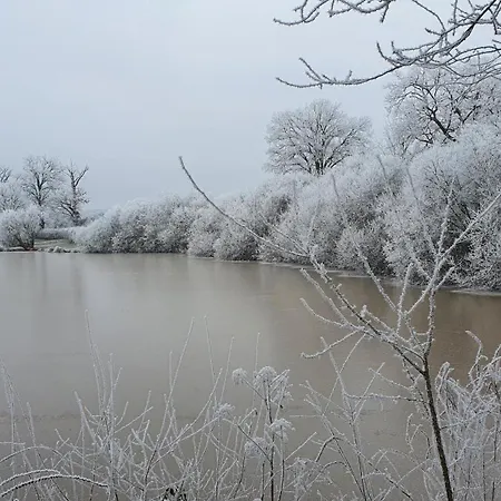 Le Coeur Du Moulin Διαμέρισμα Saint-Aubin-le-Monial