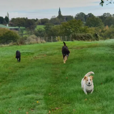 Le Coeur Du Moulin Saint-Aubin-le-Monial