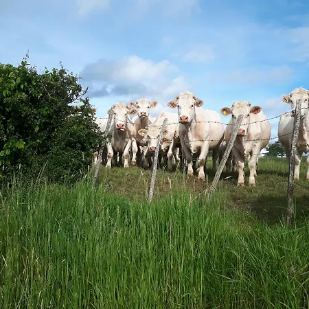 Le Coeur Du Moulin Апартаменты *